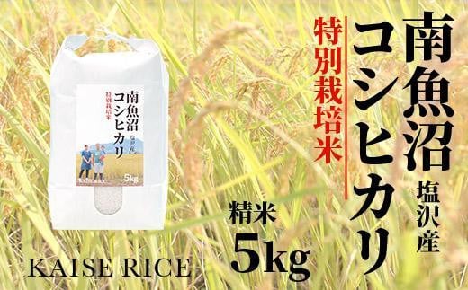 
南魚沼産塩沢コシヒカリ【従来品種】（特別栽培米８割減農薬）精米５ｋｇ
