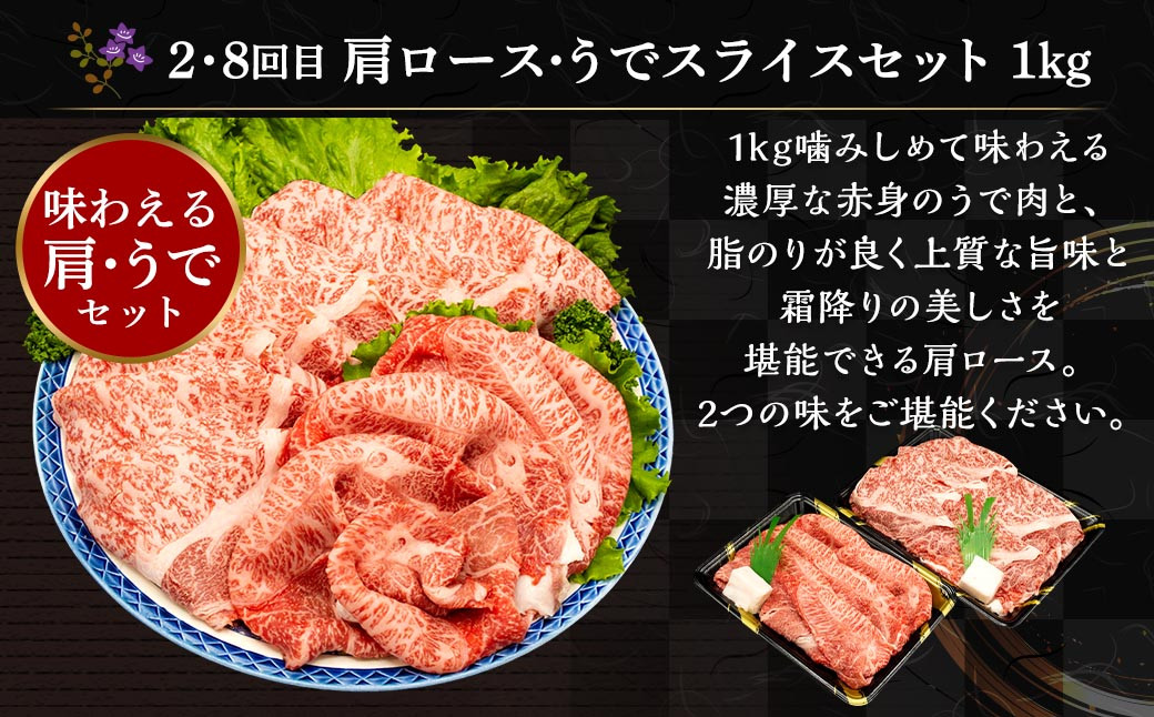 【12ヶ月定期便】 熊本県産 A5等級 黒毛和牛 和王 食べ比べ 合計約8kg 牛肉 セット