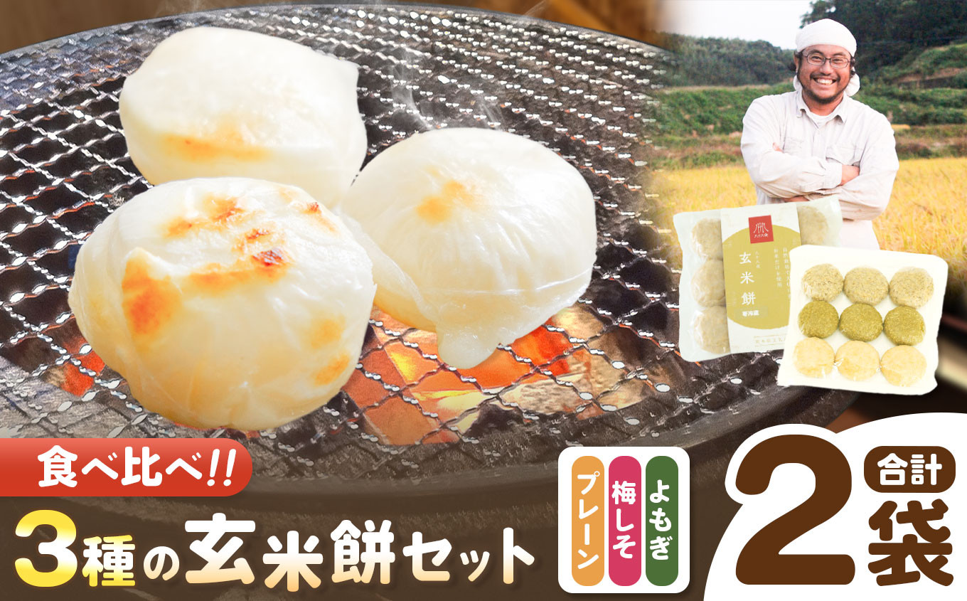 
            玄米餅 とMIX（ プレーン3個 ・ よもぎ3個 ・ 梅しそ3個 ） セット ｜ 餅 もち 玄米餅 玄米 よもぎ 梅しそ 食べ比べ お楽しみ つぶつぶ 栽培期間中農薬・化学肥料不使用 熊本県 玉名市
          