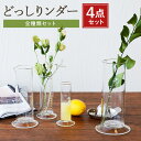 【ふるさと納税】A110 どっしりンダー全種類セット どっしりンダー 50ml 100ml 250ml 500ml 4点セット 理化学雑貨 インテリア グラス 花瓶 雑貨 調理器具 実験 耐熱ガラス みやま市 福岡県産 国産 送料無料