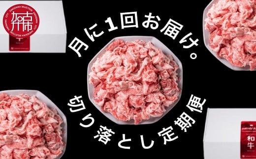 全12回定期便 肉のまち加古川 プリンセス和牛 切り落とし(500g×12か月)《 定期便 肉 和牛 切り落とし 牛肉 肉じゃが 牛丼 プルコギ カレー 日常使い おいしい おすすめ 贈答 プレゼント 》【2417A11506】