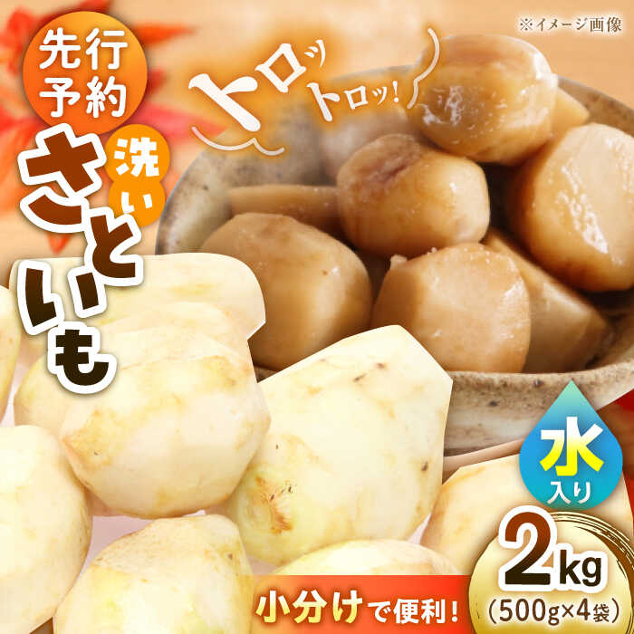 【ふるさと納税】 洗い 里芋 2.0kg（500g×4袋） 大洲市/沢井青果[AGBN033] 里芋 サトイモ さといも 料理 簡単 時短 野菜 やさい 愛媛県産 大洲市産 産地直送 おすすめ 人気 お取り寄せ 送料無料 贈答 ギフト