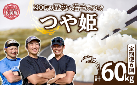 【10kg×6回 計50kg】 米 宮城県産 つや姫　定期便 《 令和7年産 新米 》結心ファーム yu-th10-t6-r7