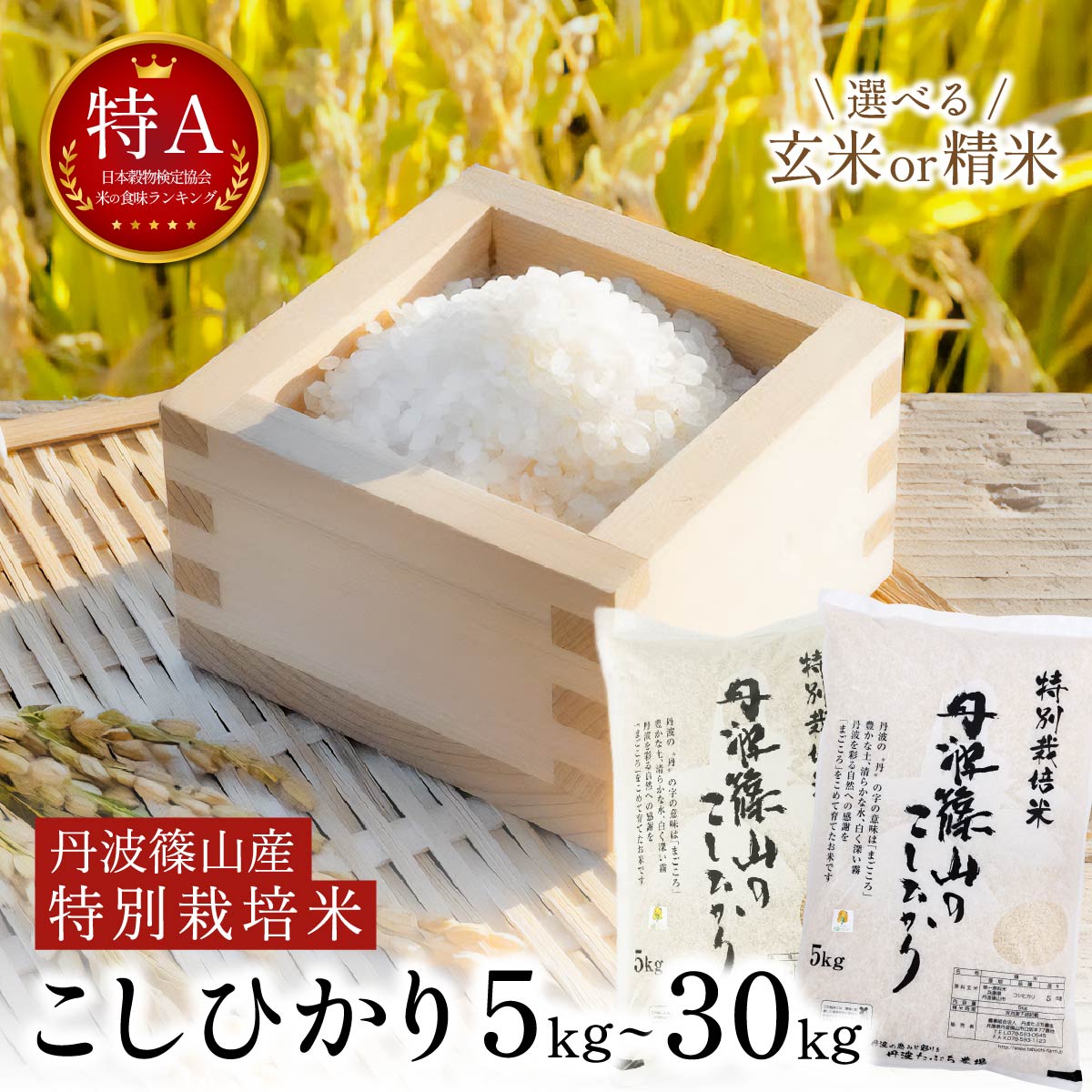 【ふるさと納税】〈特A・減農薬〉丹波篠山産 特別栽培米 コシヒカリ選べる精米 or 玄米 〈令和7年産 5kg〜30kg〉農家直送 国産白米 丹波たぶち農場 精米 白米 こしひかり 米 こめ コメ 5kg 10kg 15kg 20kg 30kg