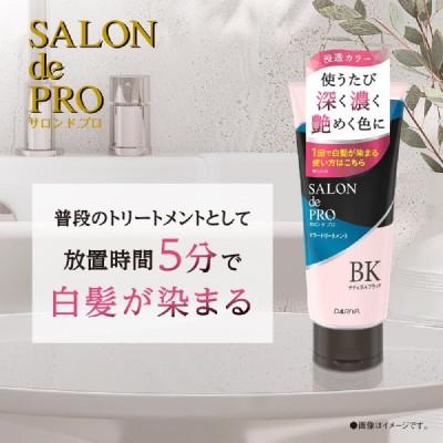 ふるさと納税 稲沢市 ダリヤ　サロン　ド　プロ　カラートリートメント《ナチュラルブラック》3個セット |  | 01