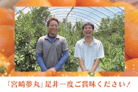 きんかん「宮崎夢丸」1kg