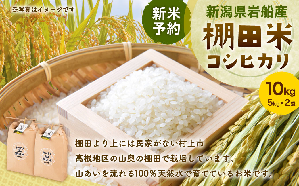 
                  【新米受付・令和8年産米】新潟県村上市岩船産　棚田米コシヒカリ10kg（5kg×2袋）NB4035 
                
