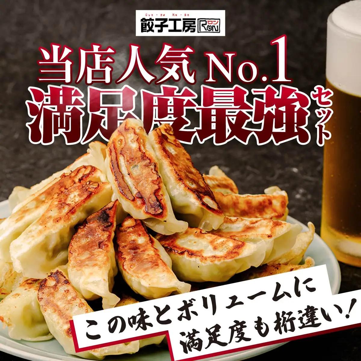 餃子 訳あり 12ヶ月定期便 たっぷり 100個 大容量 冷凍餃子