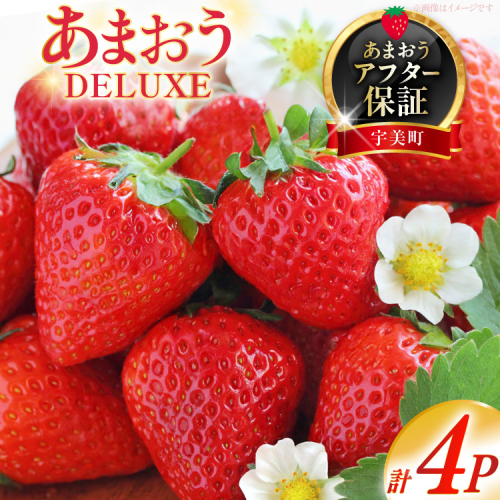 【期間限定発送】 いちご あまおう デラックス 4p [THE FARM_strawberry 福岡県 宇美町 um40azo780001] イチゴ 苺 フルーツ 果実 甘い 小分け
