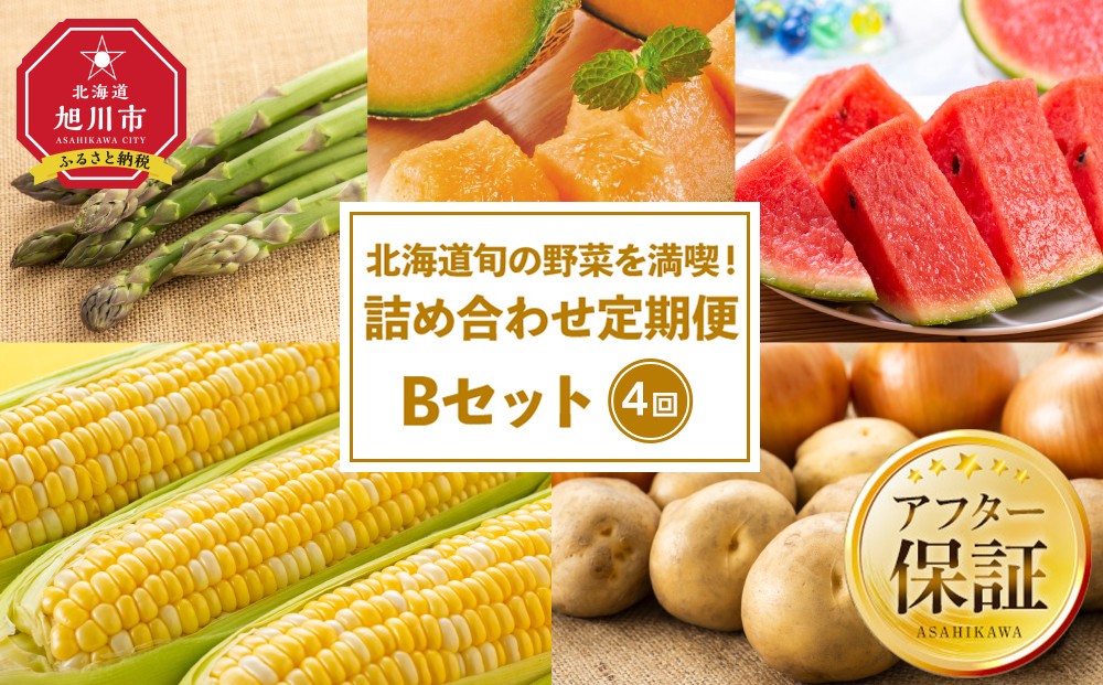 
北海道旬の野菜を満喫！詰め合わせ定期便Bセット(4回)
