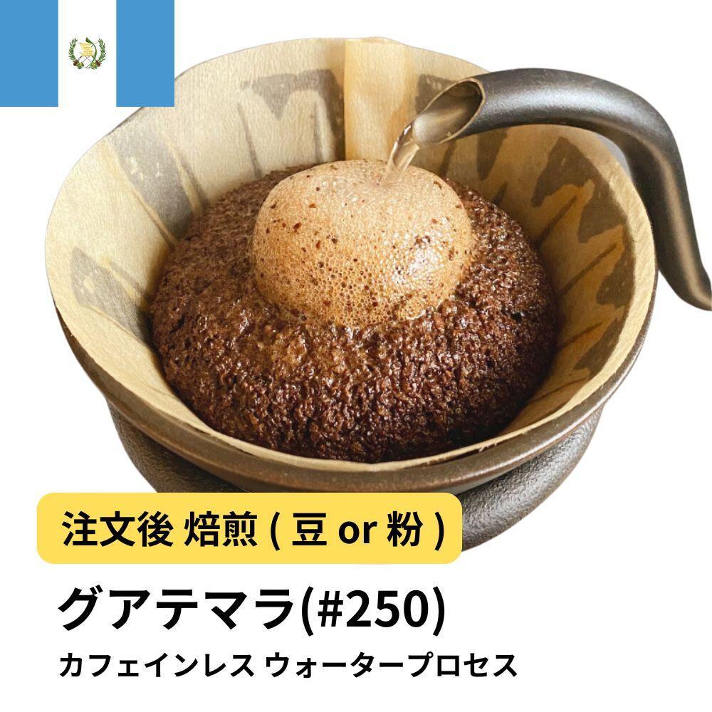 【ふるさと納税】コーヒー #250 グアテマラ デカフェ ウォータープロセス 310g 当日焙煎 大山珈琲 （豆または中挽きから選択） | 珈琲 飲料 コーヒー豆 ソフトドリンク 人気 おすすめ 送料無料