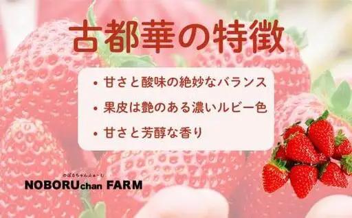 古都華 約540g(270g×2パック)3月発送 idm009