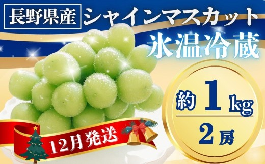 【2025年先行予約】氷温貯蔵シャインマスカット 約1kg(2房)｜果物 フルーツ 白ぶどう 葡萄 ブドウ 種無し 種なし 皮ごと 千曲市 長野県 信州