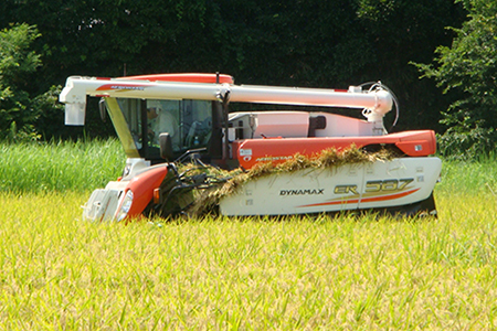 令和7年 富津産「ゆうだい21」10kg（精米）