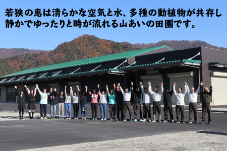 【訳あり】めぐみでぃトマト 3kg 若狭の恵 越のルビー【12/17までのご寄付で年内配送】 不揃い 産地直送[A-002029]