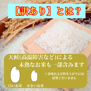 CI430_【がばい！U米(うまい)】≪無洗米≫お徳用１０ｋｇ！ （５ｋｇ×２袋）　家庭用　生活応援【訳あり】 おすすめ　人気ブランド　特A銘柄も含む　５ｋｇ以上