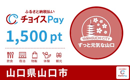 
            山口市チョイスPay 1,500pt【会員限定のお礼の品】
          