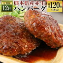 【ふるさと納税】定期便 12回 熊本県産赤牛ハンバーグ 150g×10個×12ヶ月 合計120個 合計18kg 牛肉 お肉 ハンバーグ 冷凍 国産 送料無料