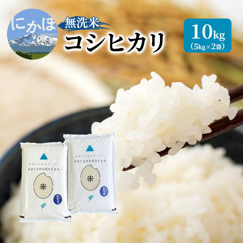 【ふるさと納税】米 無洗米 令和7年産 コシヒカリ 5kg×2 秋田県 にかほ市 お米 こめ　お届け：2026年1月9日～2026年9月10日