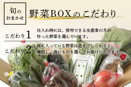  【６ヶ月定期便】旬のおまかせ 野菜BOX 野菜定期便 旬の野菜 詰合せ 野菜 新鮮 野菜 8～10品目E-72