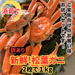 【22025】鳥取網代港【訳あり】浜茹で！松葉ガニ1kgセット※お届けは2026年11月中旬～【さかなや新鮮組】
