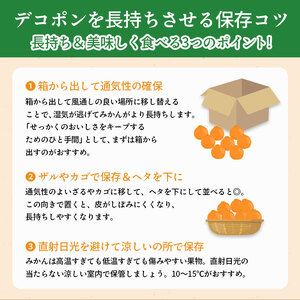 先行予約 ハウス栽培デコポン 約2.7kg  デコポン