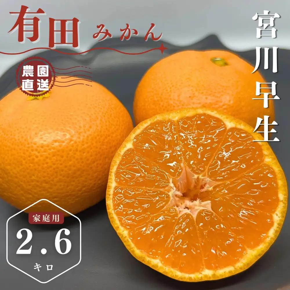 【ふるさと納税】【先行予約】有田みかん 早生 温州みかん 2.6kg（箱込み3kg）家庭用 S～Lサイズ おまかせ 柑橘 フルーツ みかん 産地直送 お取り寄せ 送料無料 温州ミカン