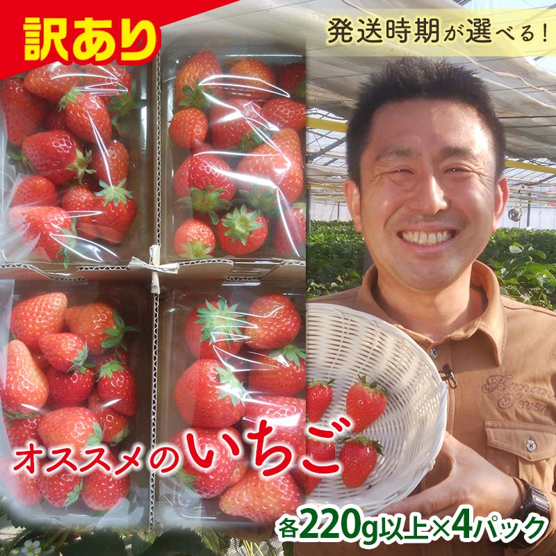 ＜訳あり品＞ 群馬県産オススメいちご 4品種(各220g以上×4パック)【2026年3月1日～5月15日発送】 小粒 訳あり 群馬県産 いちご 苺 イチゴ 食べ比べ セット 詰合せ 果物 フルーツ 食品 F21E-255