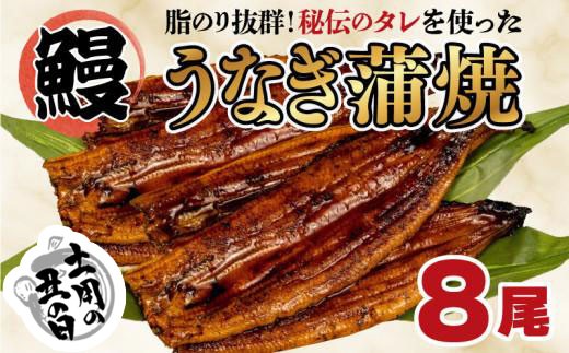 【土用の丑の日 対応】うなぎ 蒲焼き 8尾 約1kg  鰻 冷凍 中国産 まるが水産 脂ノリ抜群 静岡 指定日可 unagi 鰻 ウナギ 土用の丑の日