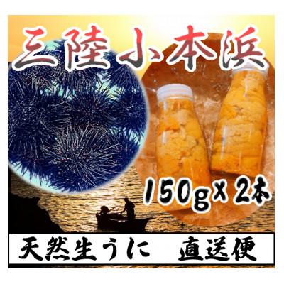 ふるさと納税 岩泉町 三陸小本浜産　生ウニ(牛乳瓶・150g)2本入り