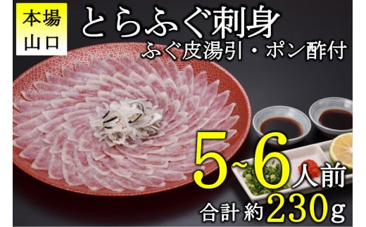 とらふぐ 刺身 5-6人前　冷凍【ふぐ刺身 ふぐ刺し ふぐ 刺身 さしみ ふぐ皮 フグ 河豚 配送日指定可能 日時指定可能 ★レビューキャンペーン対象★ 】