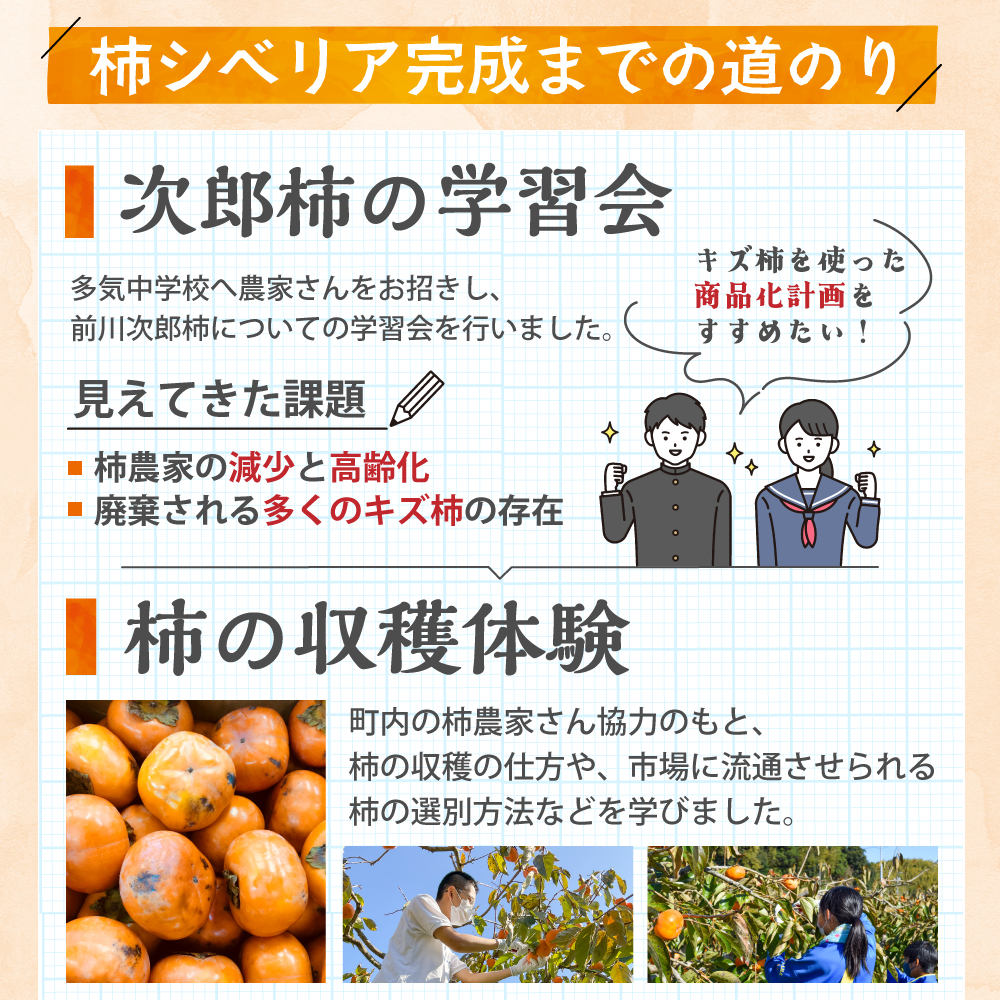 GF‐13　キズ柿をつかった柿シベリア　5個入り