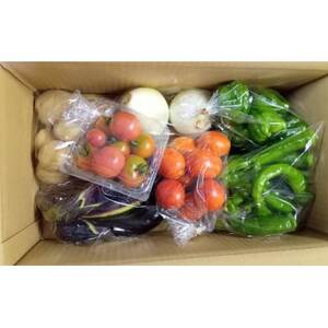 旬の野菜セット【配送不可地域：離島】【1545269】