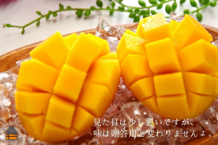 徳之島産完熟マンゴーは加温せず、太陽の力でゆっくりと育てています。