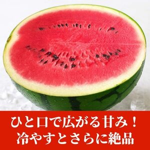 大玉すいか 2玉入り 3L以上 約16kg以上(益城町)【1684342】