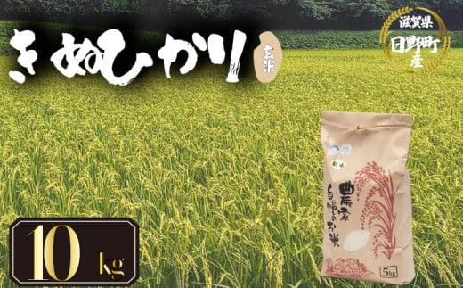 【 令和7年産 米 10kg 】 きぬひかり 米 玄米 国産 滋賀県 日野町 農家直送 お米 おこめ こめ 産地直送 ふるさと納税