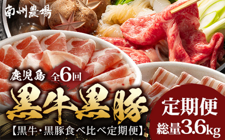 ［新春］≪全6回≫ 鹿児島県産 ◆ 黒牛＆黒豚食べ比べ 定期便◆  南州黒牛 かごしま黒豚 NS-28 | 牛 肉 お肉 ブランド牛 黒毛和牛 鹿児島黒豚 黒豚 豚肉 豚 ぶた肉 霜降り サシ ロース しゃぶしゃぶ すき焼き すきやき 甘い やわらかい 冷凍 産地直送 肉定期便 南大隅町