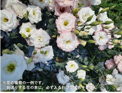 【024-08】切り花（トルコギキョウ等　地場産花）のフラワーアレンジ　小（約20本）