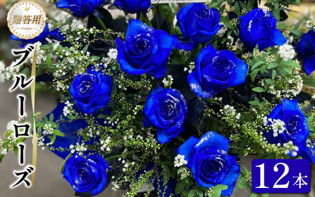 生花 ブルーローズ 12本 青バラ 生花