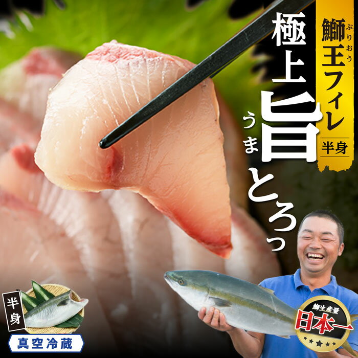 【ふるさと納税】【高評価 4.79】 【選べる「鰤王」「新物 鰤王」】 最短14日前後で発送 テレビで紹介ぶりの王様「 鰤王 」 フィレ 1枚 切り身 冷蔵 真空パック 産地直送 ふるさと納税 ぶり 刺身 切り身 鰤 ぶりしゃぶ 鰤しゃぶ たたき 人気 ランキング 【JFA】jfa-1483