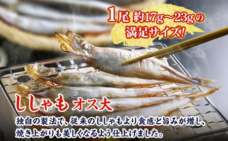 ししゃも魚貝類オス大干物北海道産ししゃも【30尾】