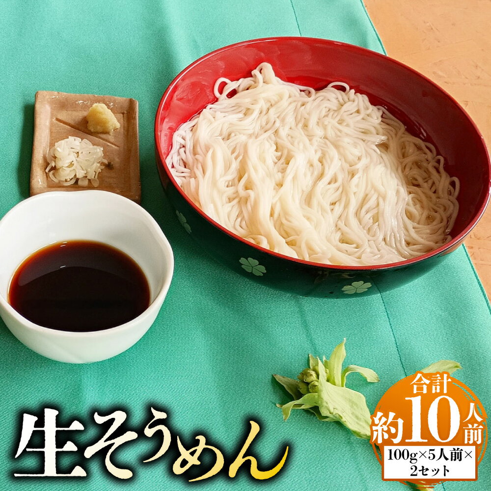 【ふるさと納税】生そうめん100g×5人前×2セット | 合計10人前 辛汁 約540g（54cc×10本） 合計約1.5kg 麺 めん そうめん 生そうめん 素麺 冷凍 茨城県 守谷市 送料無料