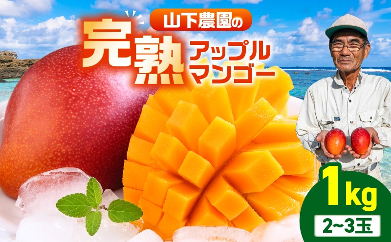 
            【2026年先行予約】甘い香りの贈り物！山下農園の完熟アップルマンゴー 1kg（2～3玉）　W063-003-01
          