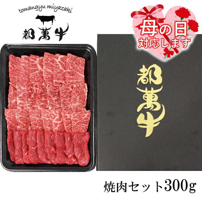 【ふるさと納税】都萬牛 焼肉セット300g ふるさと納税 黒毛和牛 焼肉 国産 牛肉 宮崎 国産牛＜6-4a＞『母の日ギフト対応品』