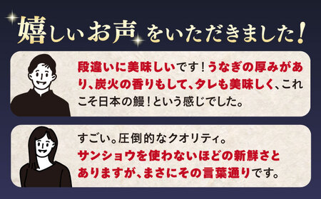 【月1回4匹×3回定期便】秘伝のタレで仕上げた国産うなぎの蒲焼＜入口屋＞ [CCA023]