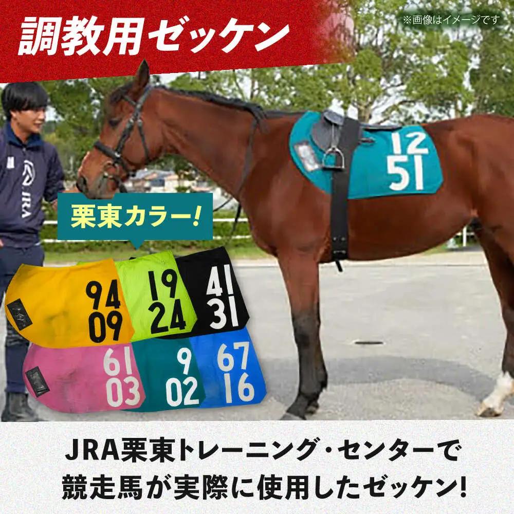 【JRA】調教用ゼッケンと騎手サイン色紙 (栗東カラー) BIAM003 競馬