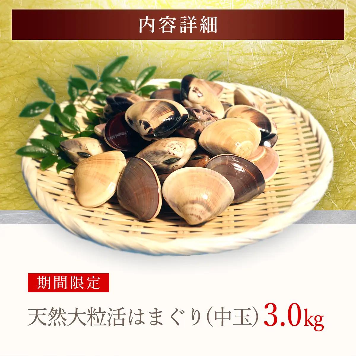 【千葉県ブランド認定】天然大粒活はまぐり（中玉）《3㎏》ギフトBOX付き／ふるさと納税 はまぐり ハマグリ 蛤 貝類 魚介 海鮮 お吸い物 パスタ パエリア お歳暮 贈答 お祝い 千葉県 山武市 SM