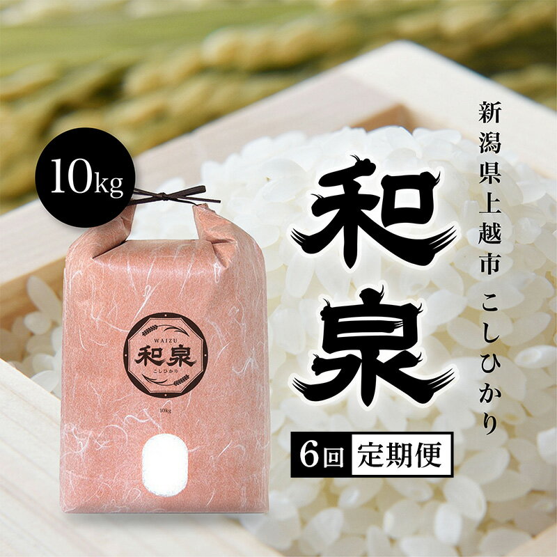 【ふるさと納税】（定期便10kg×6回配送） 令和7年 新潟県上越産 こしひかり『和泉』10kg 10キロ 上越市 精米 米 ギフト 喜ばれる　お届け：2025年10月中旬～2026年9月中旬まで