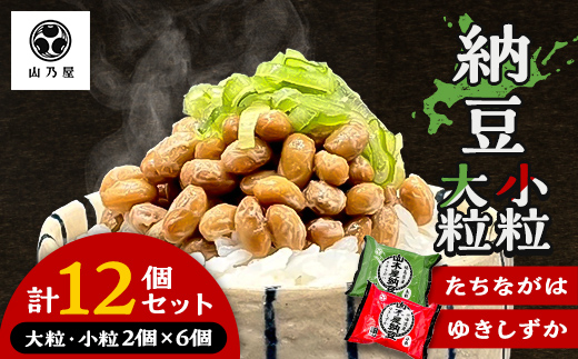 山乃屋の山木屋 大粒 小粒 納豆 各種6個 納豆 大豆 健康 発酵食品 ギフト おすすめ 川俣町 福島県  FAF-0290