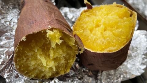 【2023年11月発送 先行予約】 すずほっくり 約10kg 【茨城県共通返礼品／行方市】 渋谷農園 さつまいも  いも 芋 焼芋 [DT006sa]